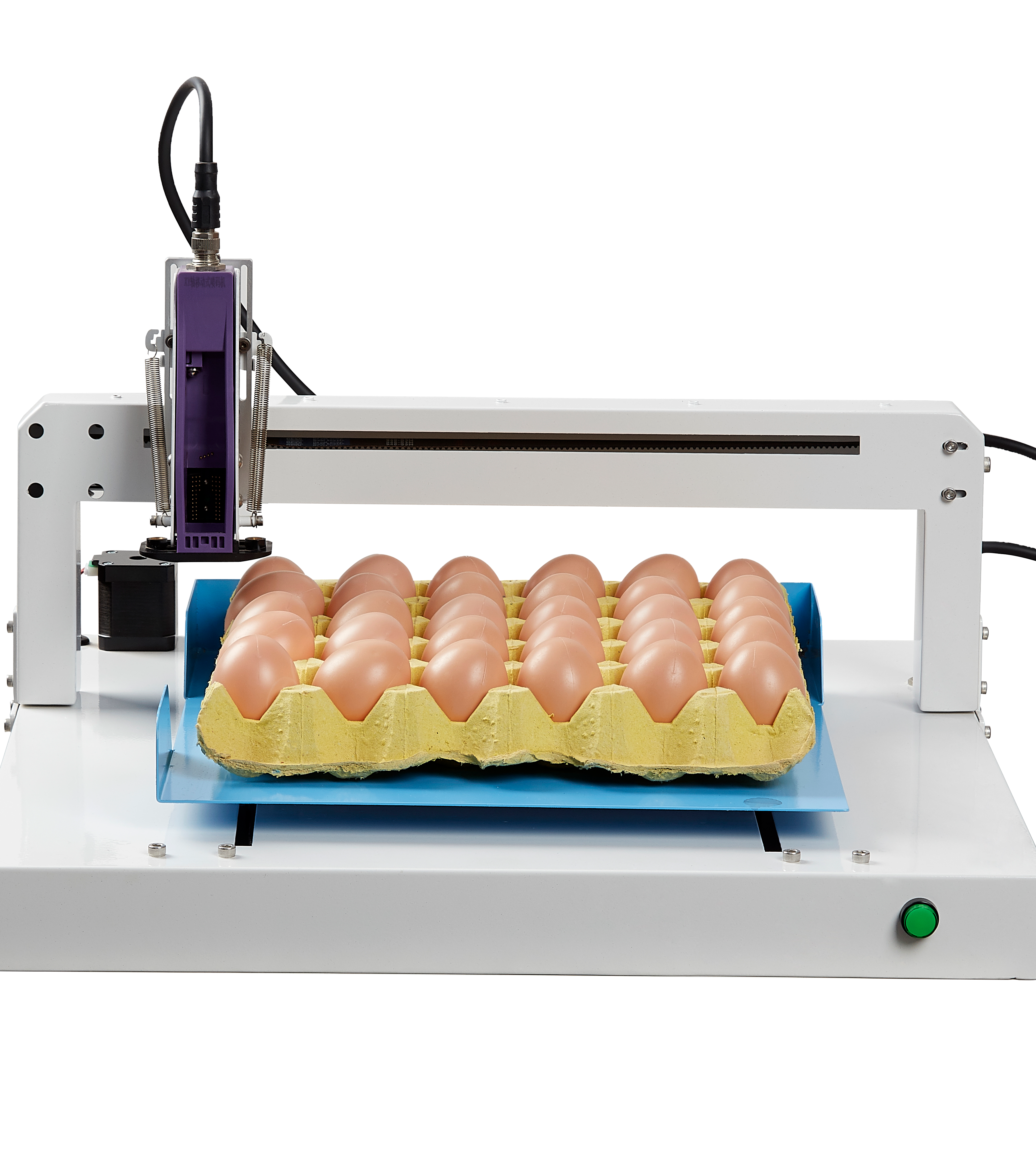 Advanced Egg Coding Machine Solutions by BTMARK