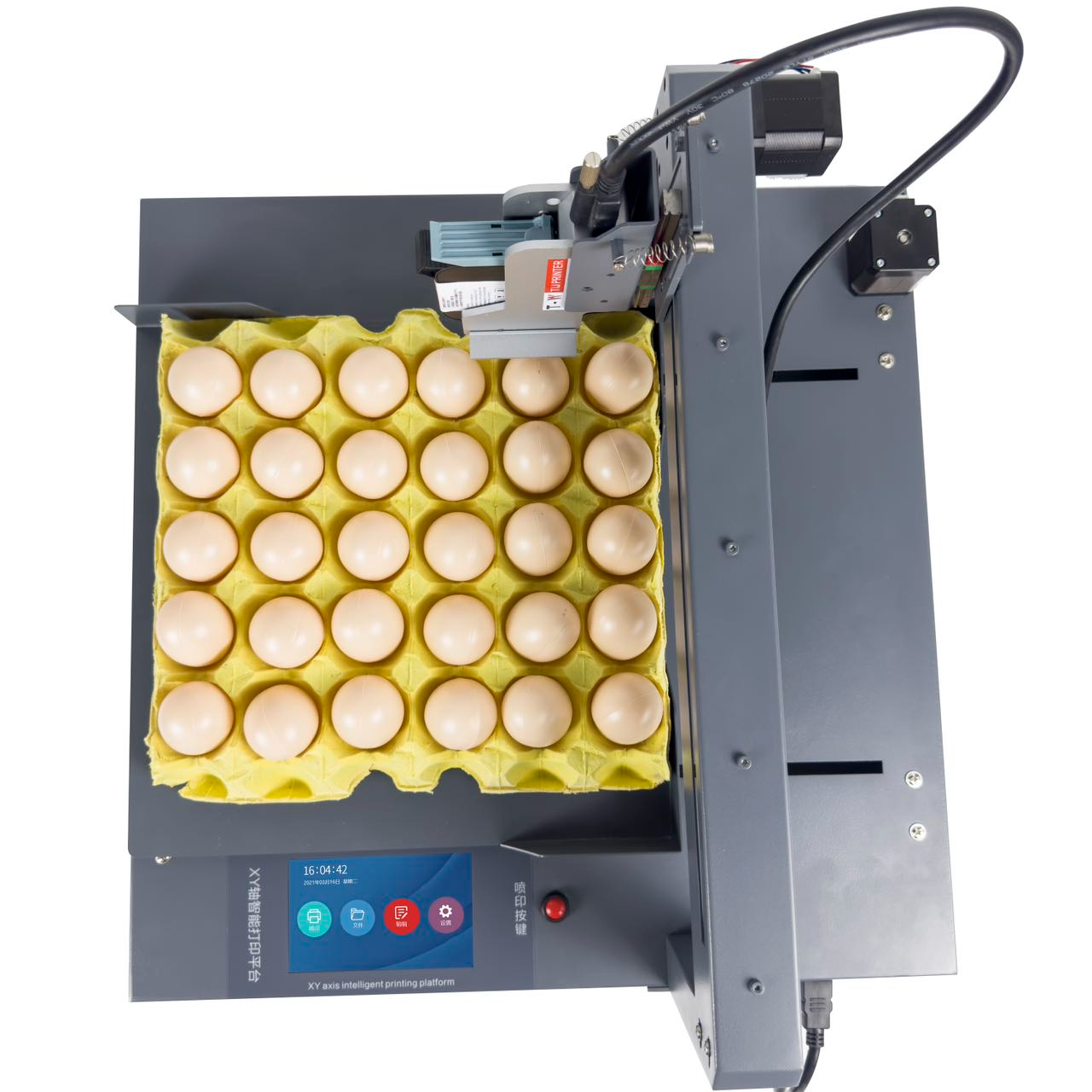 BTMARK Egg Coding Machine