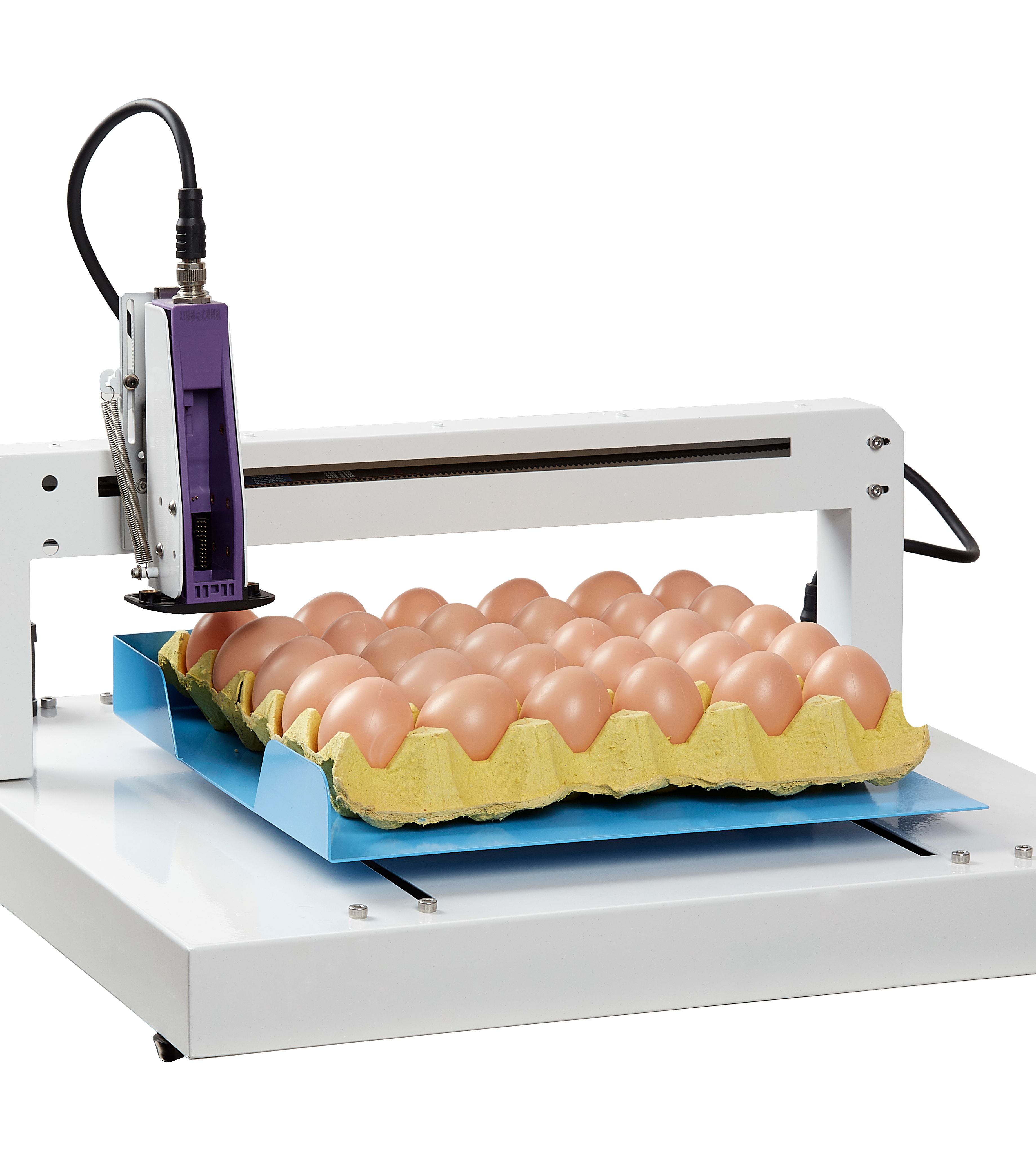 Advanced Egg Coding Machine Solutions by BTMARK