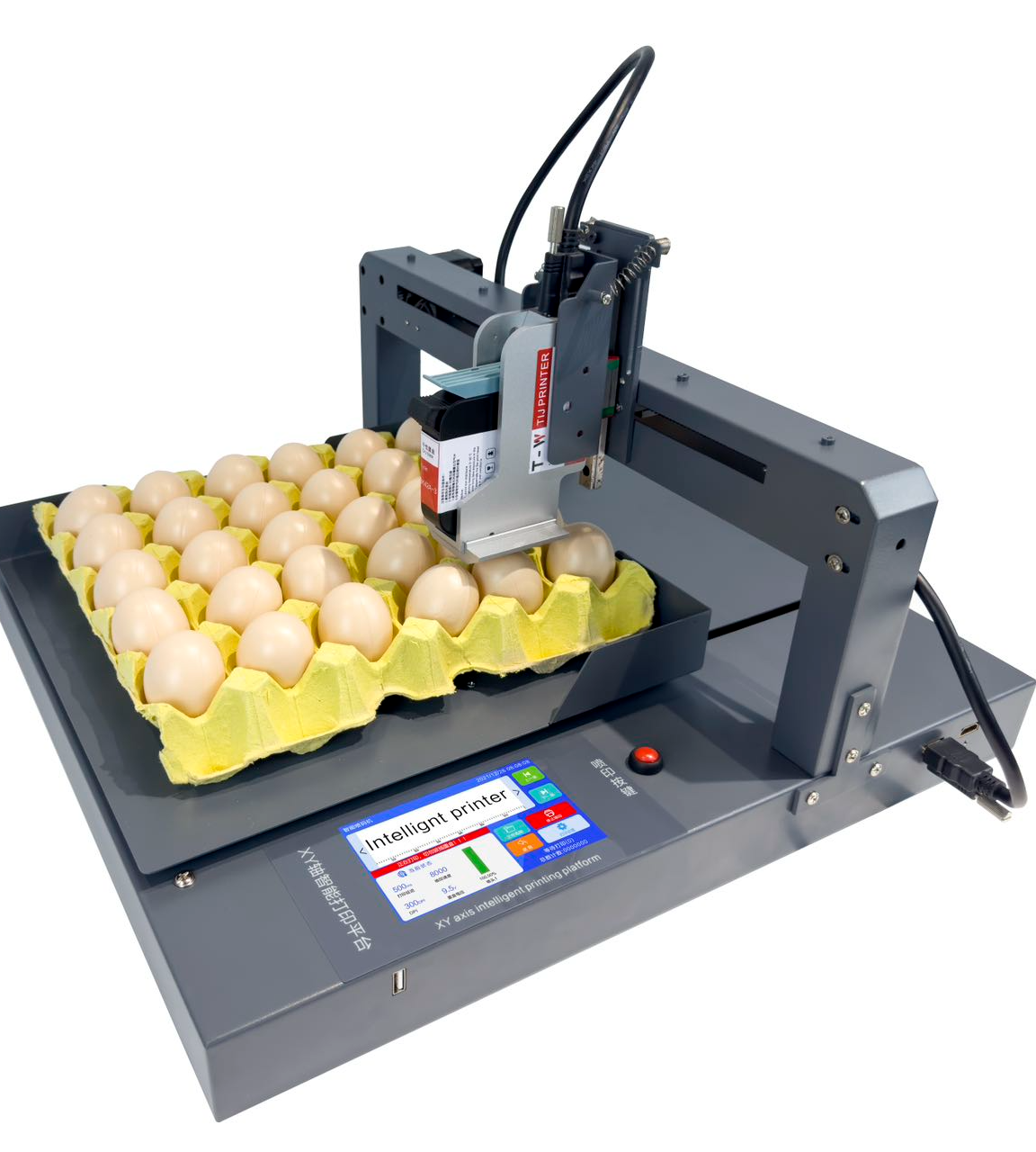 Precision Egg Coding with BTMARK Technology