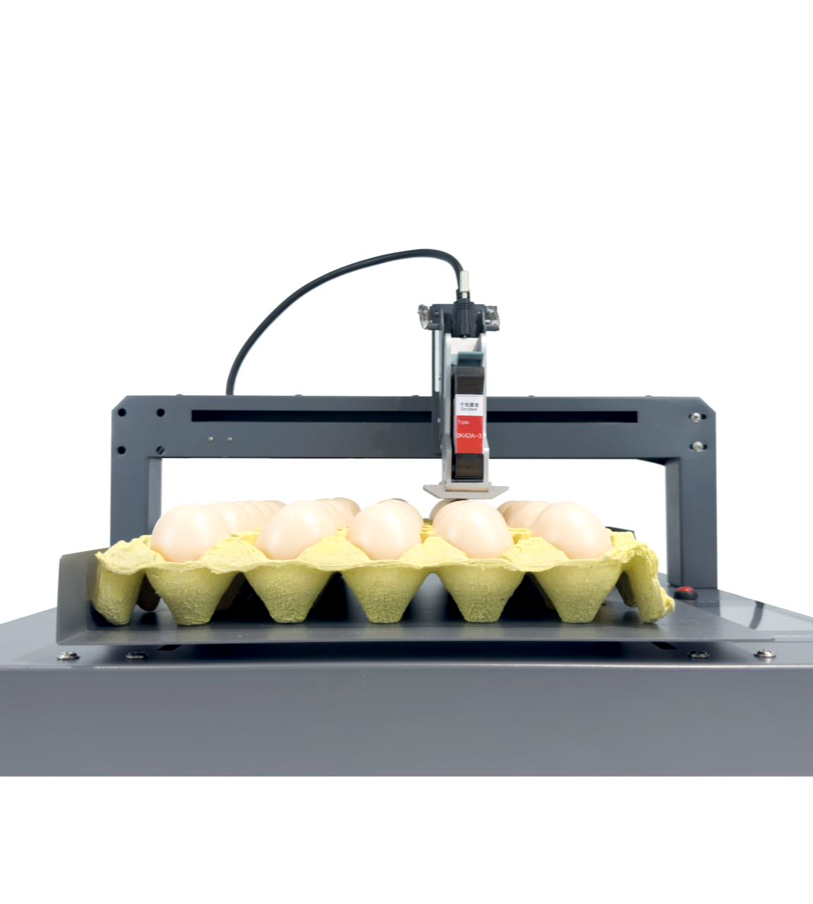 Precision Egg Coding with BTMARK Technology