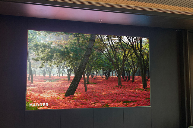 MADDER Creates Singapore Sports Full-Color Big Screen!