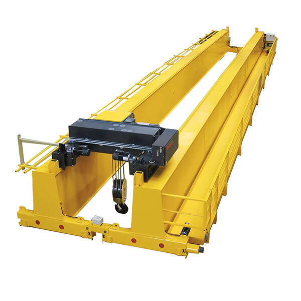 Optimisation de l'espace de travail grâce à la conception d'une grue au-dessus de tête à double poutre