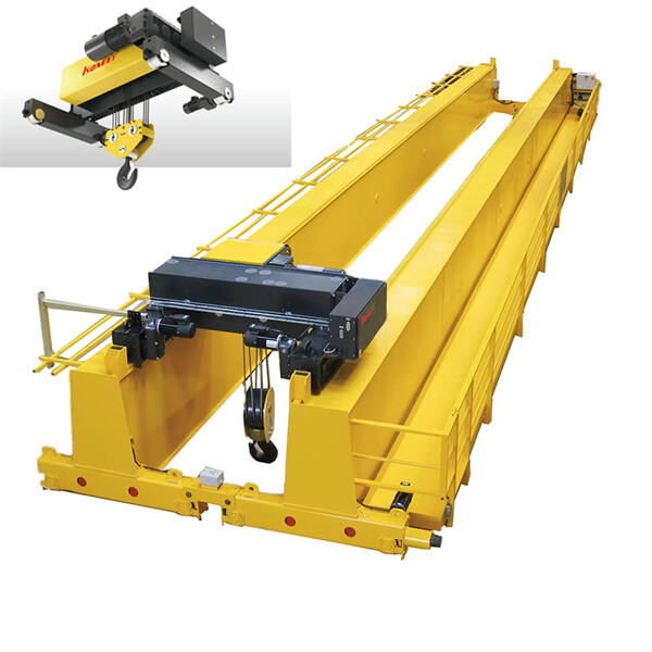 Double Beam Bridge Cranes
