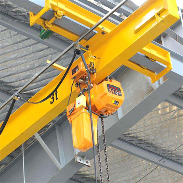 The User-Friendly Features of the 2 Ton Electric Hois