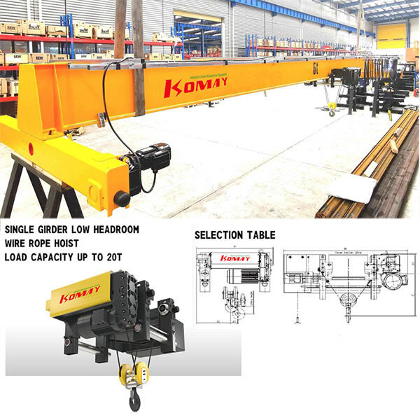 Customizable options for various industries with European electric hoists