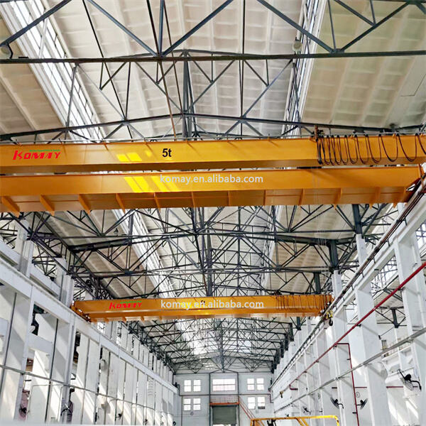 Optimisez l'efficacité et la sécurité avec des grues de 30 tonnes