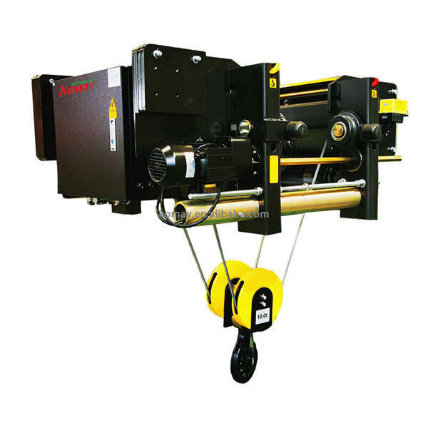 Explore the durable construction and powerful capabilities of a 2 ton electric hoist.
