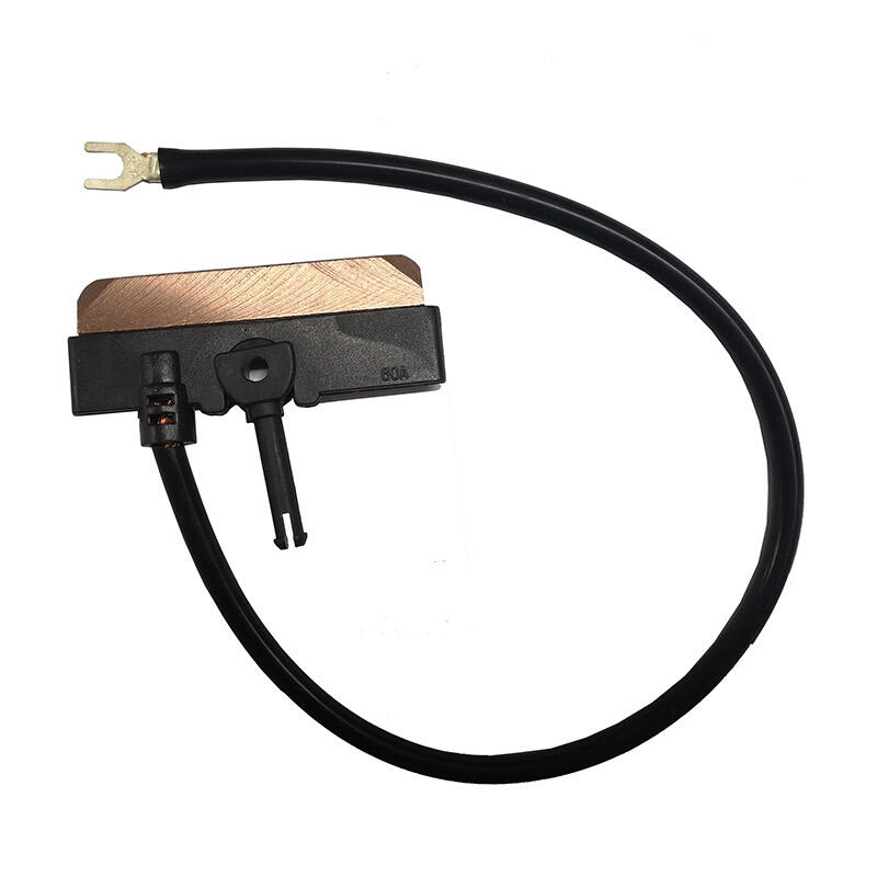 Carbon Brush