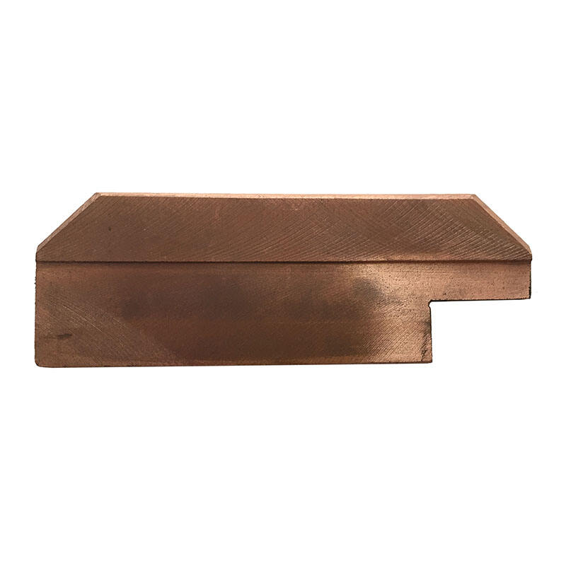 carbon brush (10)