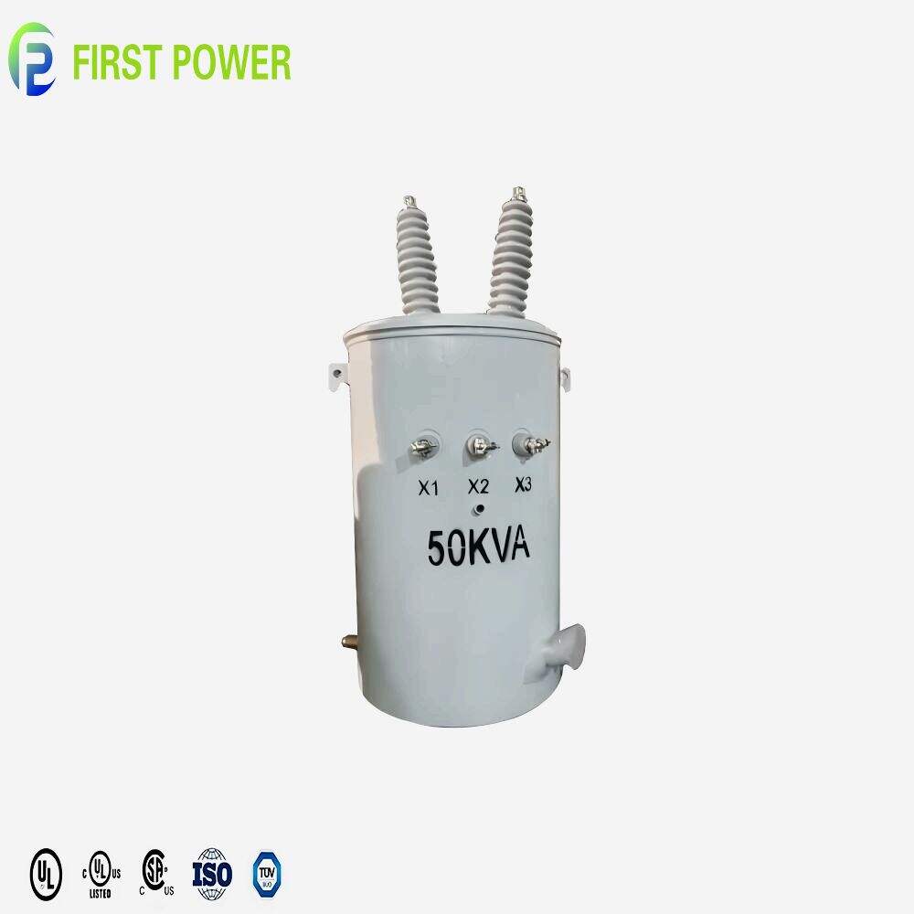 Customization in accordance with Specific Requirement