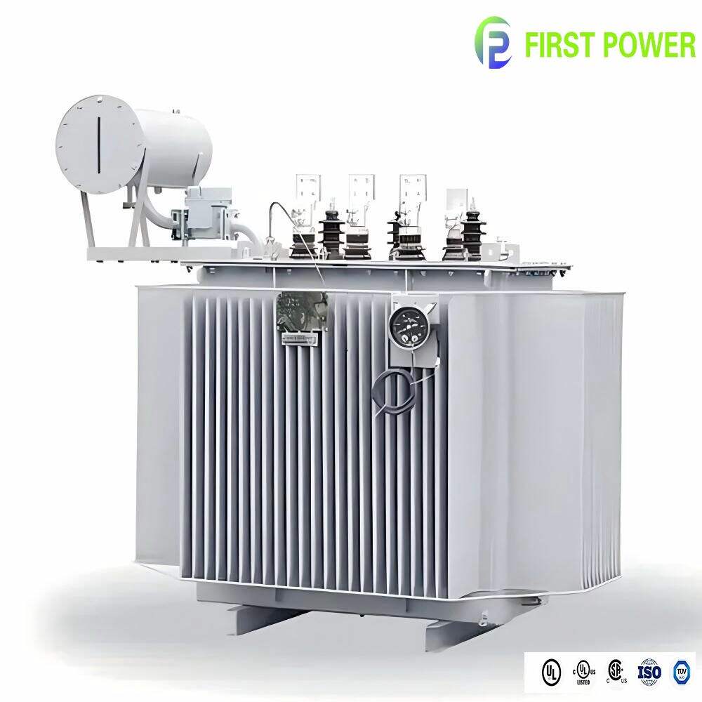 Utilizzo Saggio dei Transformer: