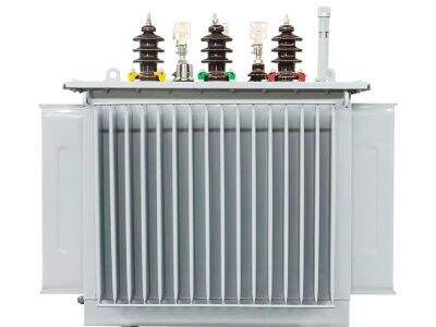 What to Consider When Choosing Three Phase Oil Type Transformers
