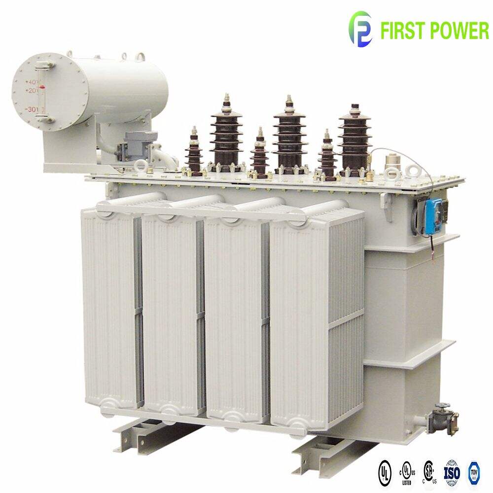 Išsamus kompendijos apie MV transformatorius