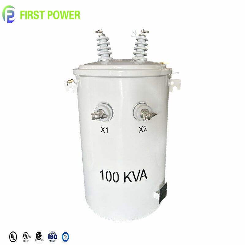 Bedeutung von 100 KVA-Transformatoren