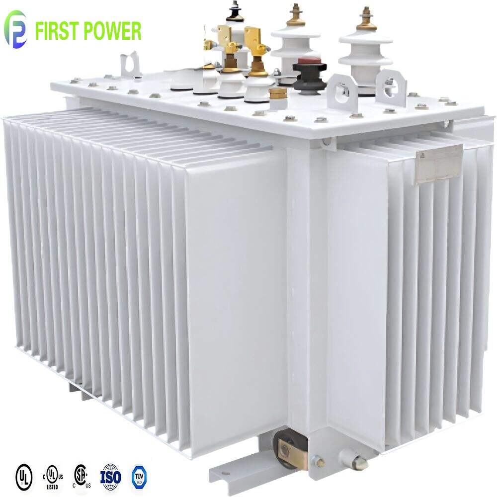 Maintaining and Monitoring Oil Levels in Power Transformers