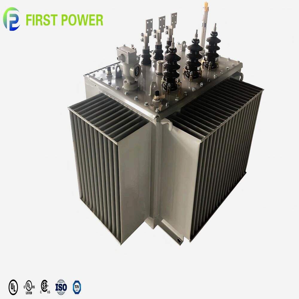 Installation and Maintenance Tips for a 160kVA Transformer