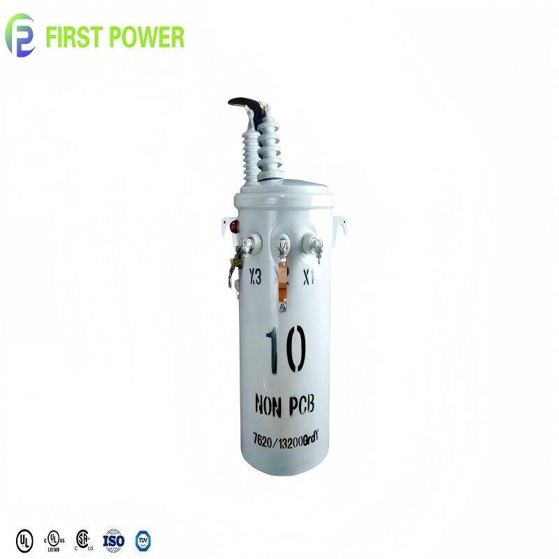 Priežastys, dėl kurių reikia rinktis stulpinius transformatorius