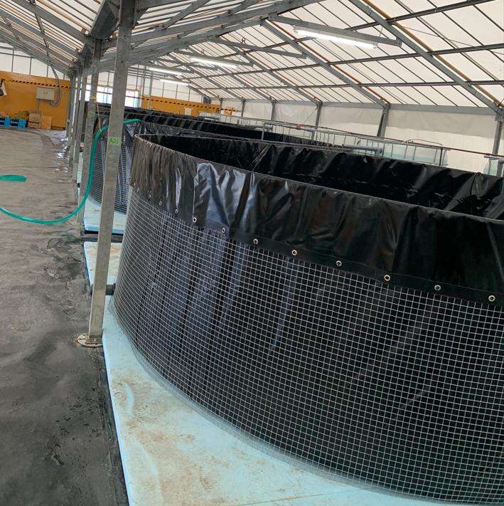 Flexible Tank-Fish Farming