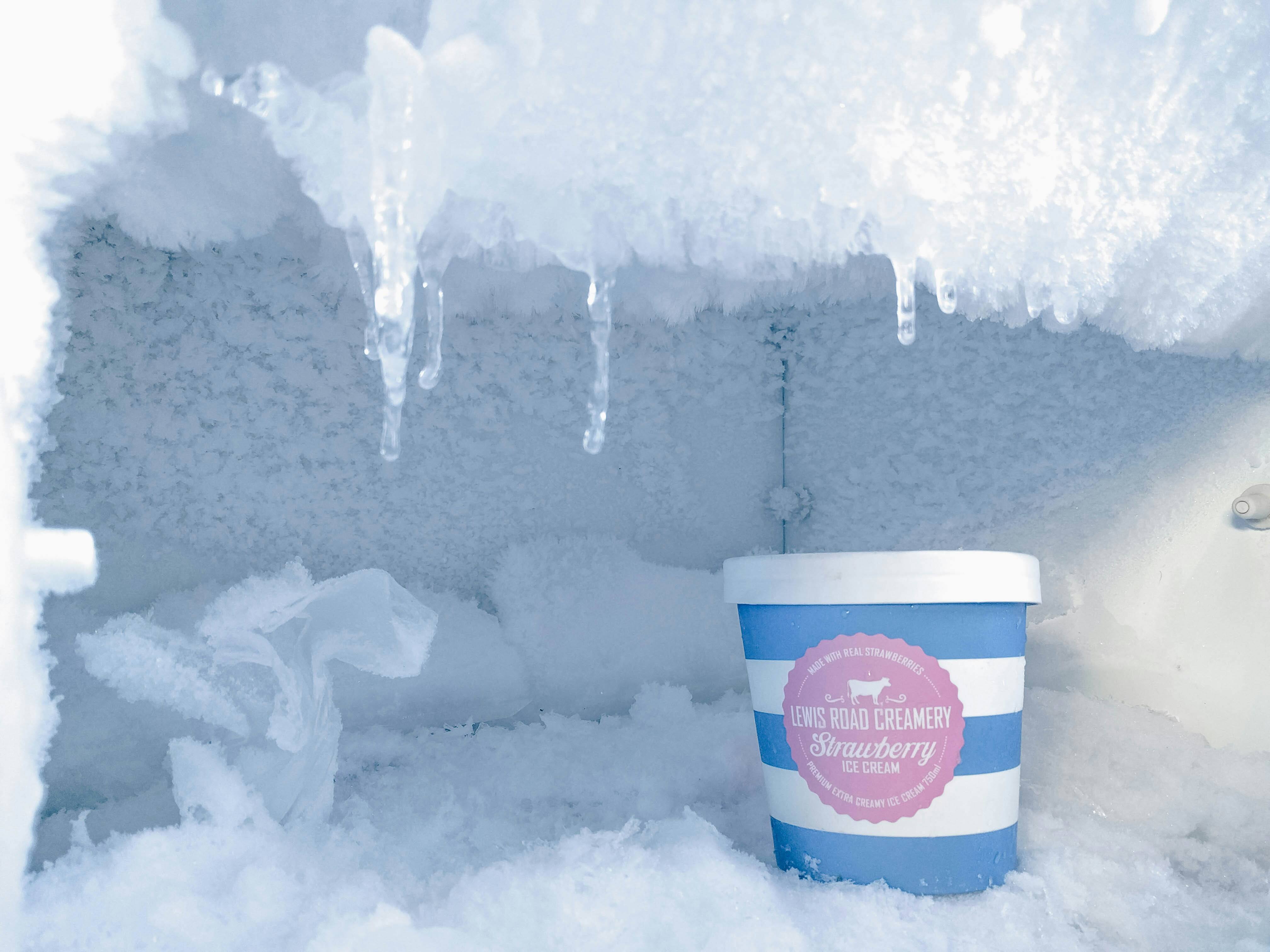 Blast Freezer is the secret weapon to boost frozen food sales