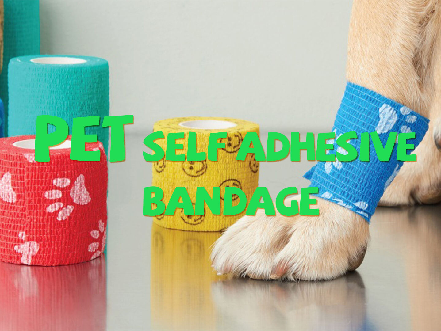 PET BANDAGE