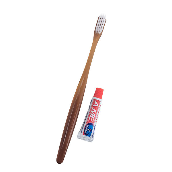 Disposable Toothbrushes for Your Journey