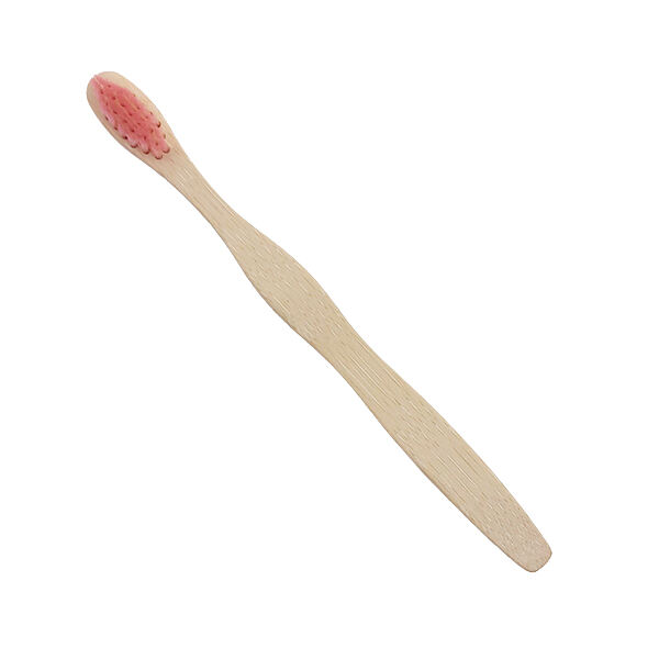 Sustainable and Eco-Friendly Alternative to Traditional Toothbrushes
