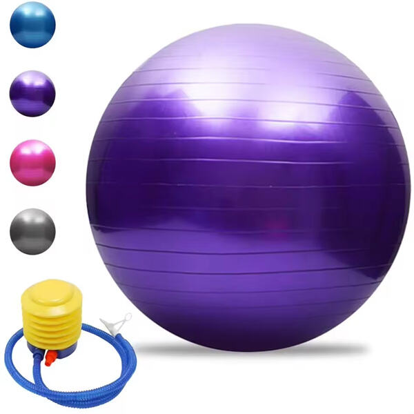Elevate your home gym with a fitness ball and pump se