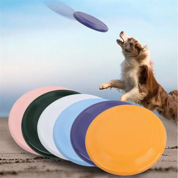 Offering Top-notch Service for Wholesale Dog Flying Disc Orders