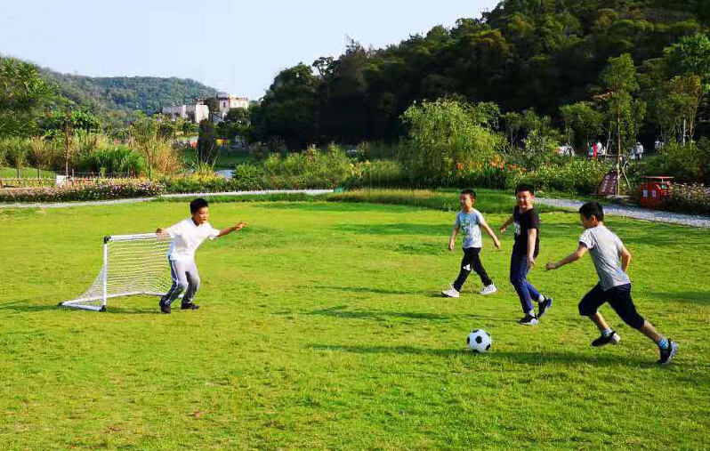 شبكة مرمى كرة قدم محمولة صغيرة احترافية قابلة للطي بشعار مخصص لمورد تدريب الأطفال