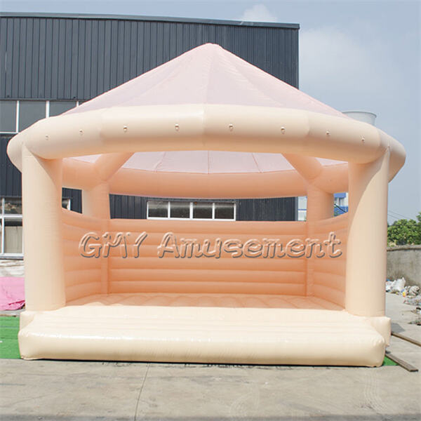 Features of a Large Bouncy Castle