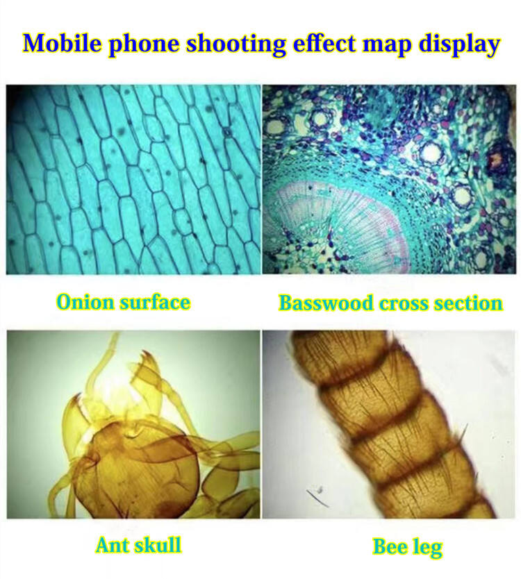 Wholesale Elementary School Science Experiment Toy Set Biological Microscope National Geographic Children's microscope details