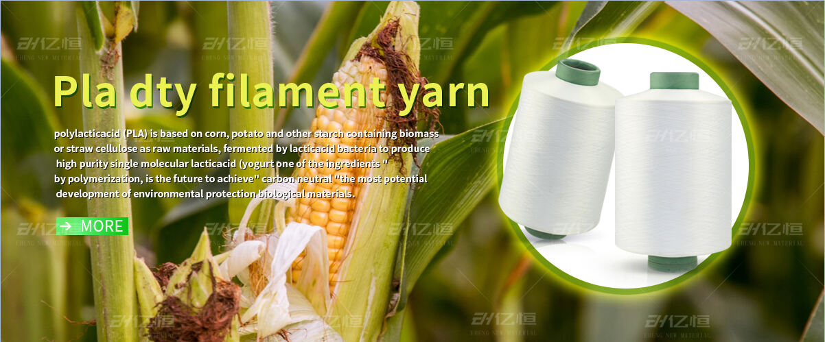 pla-dty-filament-yarn