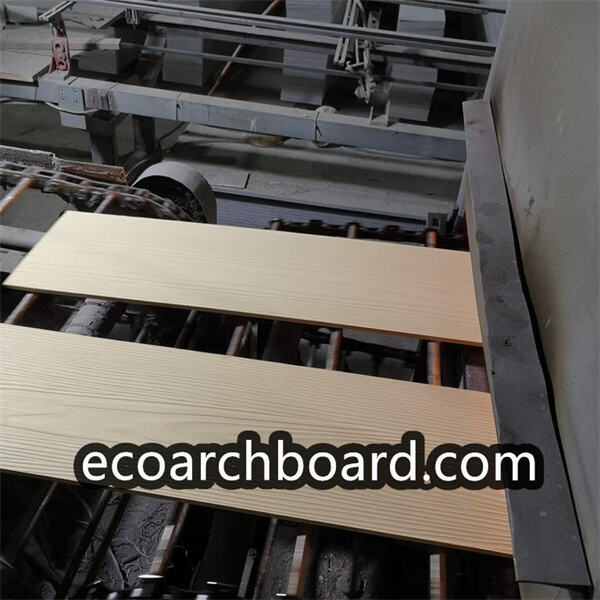 কেন ফাইবার সিমেন্ট প্যানেলগুলি বাইরের জন্য নিখুঁত সমাধান