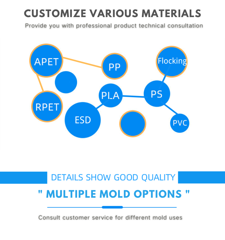 Leenol Customized Antistatic PVC Tray ESD Plastic Blister Packaging Tray details