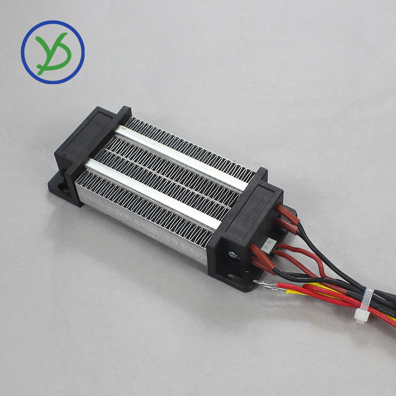 The 300W PTC Heater