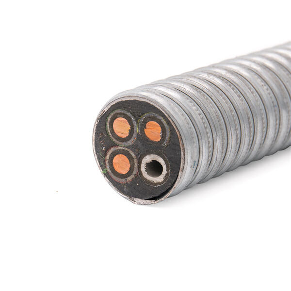 Aprovechando el Poder de la PES para el Crecimiento Personal