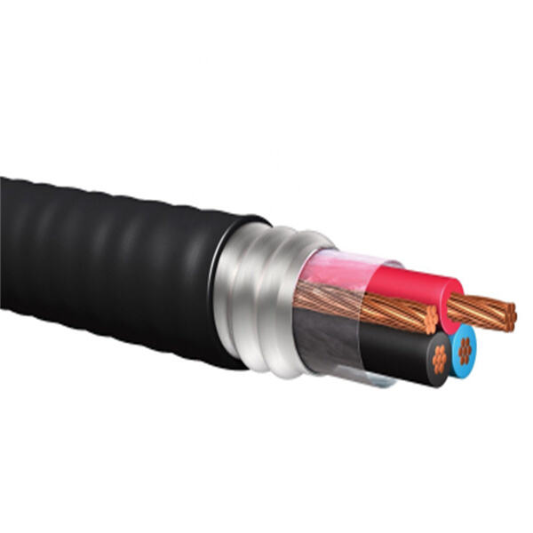 Applications of 6mm Armoured Cable: