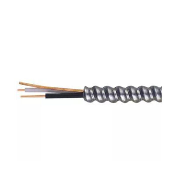 Security Features of 6mm Armoured Cable:
