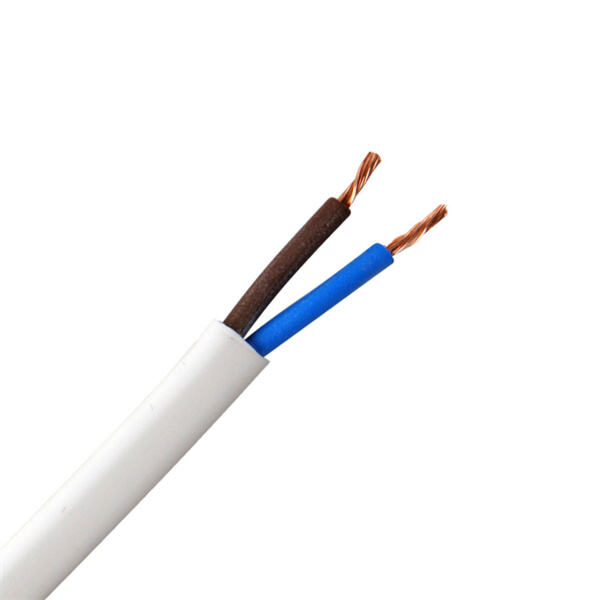 Princeps potentiae tuae Electrical Ratio cum 2 Core Electric cable