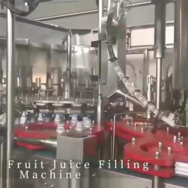 Everything You Need to Know