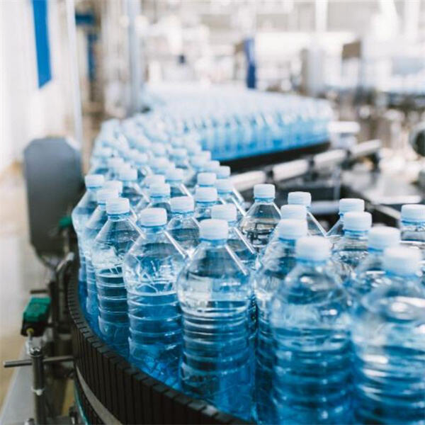 Efikasnost + Kvalitet