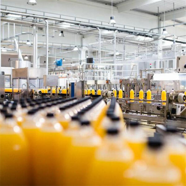 Bottle Profits and Minimize Waste with a Quick Bottling Line Solution