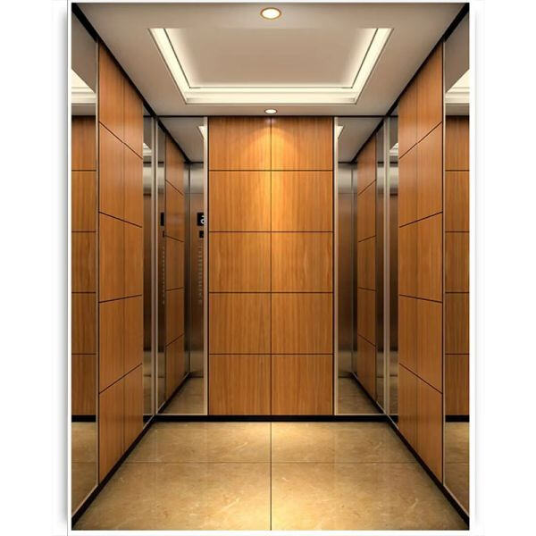 Why Domestic Elevators are an Ideal Solution