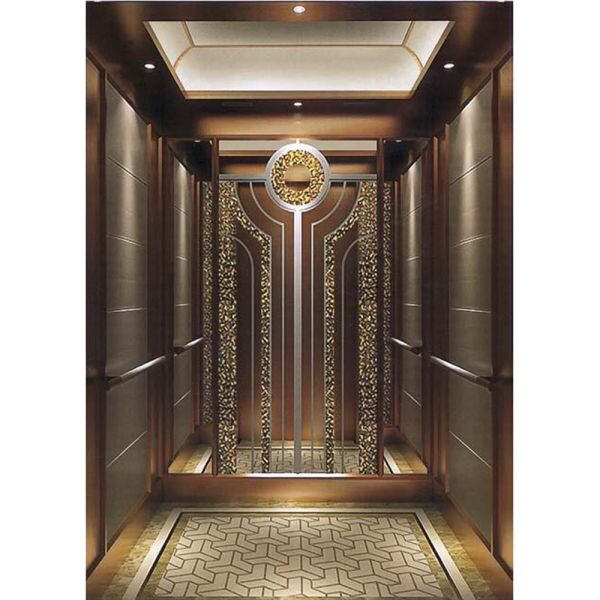 Household Elevators for Aging in Place