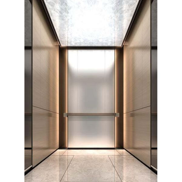 Small Residential Elevators for a Hassle-Free Home!