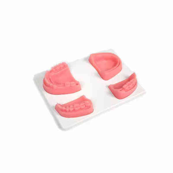 Boost Your Confidence and Skills with the Highly Realistic Dental Silicone 3D Suture Pad.