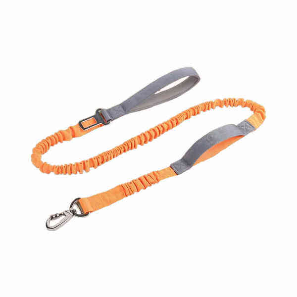 A Comfortable and Durable Leash for Active Dogs