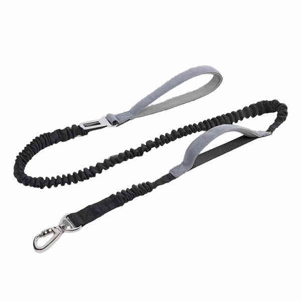 Discover the Benefits of Elastic Dog Leashes for a More Enjoyable Walk