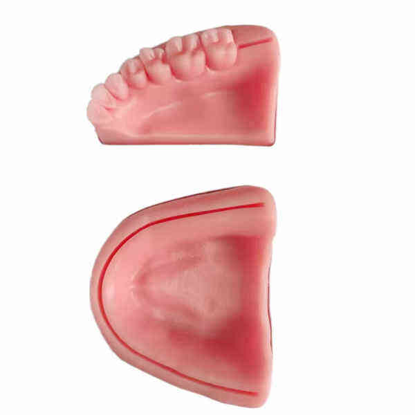 Elevate Your Dental Practice with Advanced Training Using the 3D Silicone Suture Pad.